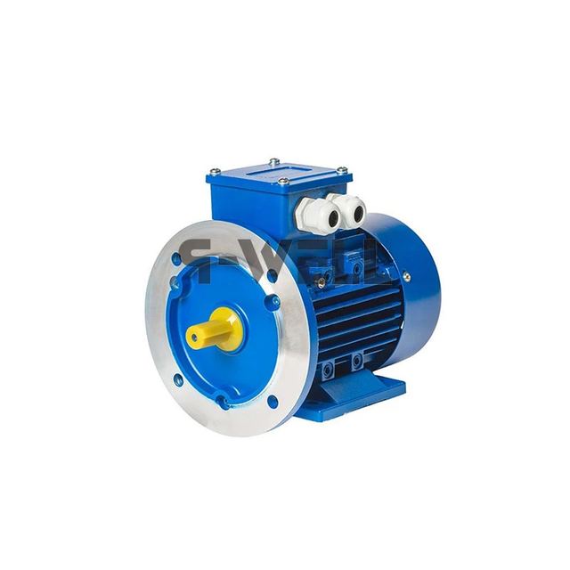 IEC Motor