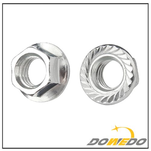 Flange Castle Nut