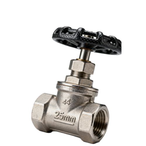 25mm Globe Valve