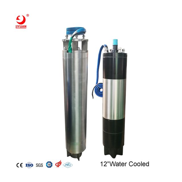 12 inch Submersible Motor