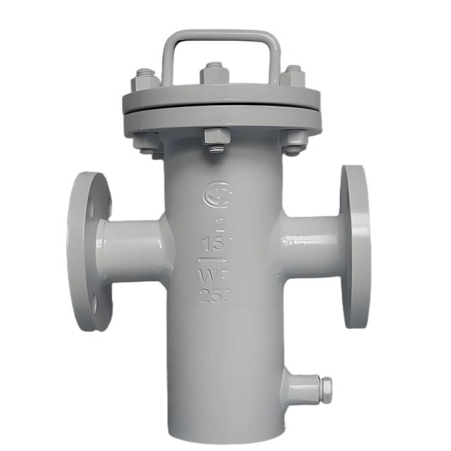 ASTM 2” 150LB WPB RF Flange Basket Strainer
