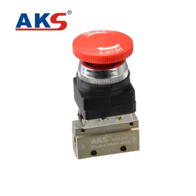 Pneumatic Mechanical Valve