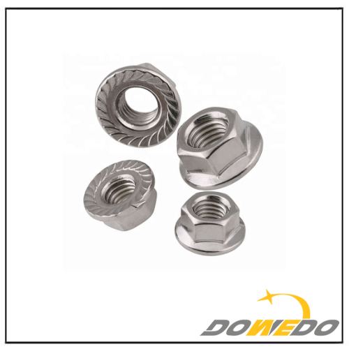 Hex Flange Nuts