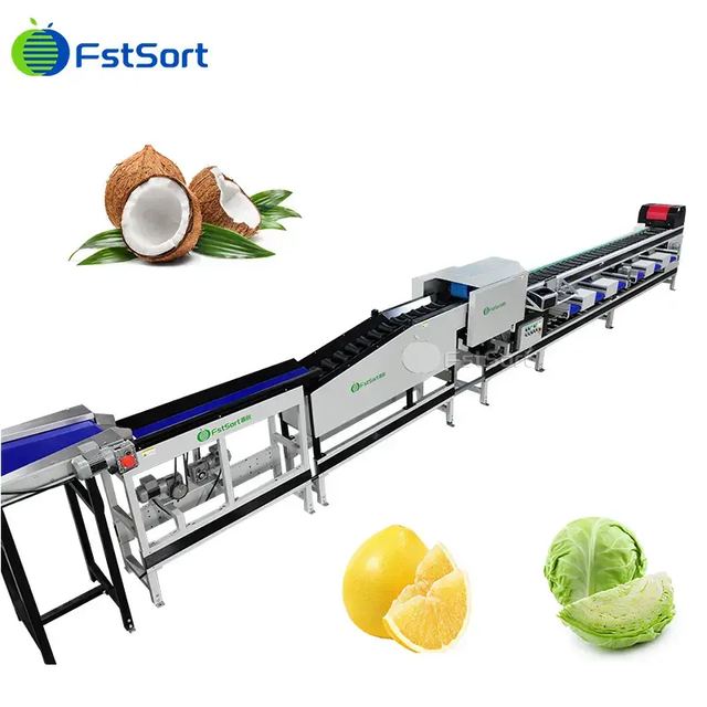 Máquina Clasificadora de Cocos