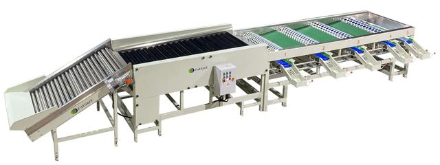 Garlic Cleaning Grading Machine