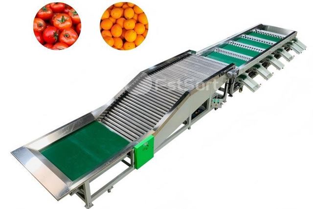 Tomato Sorting machine