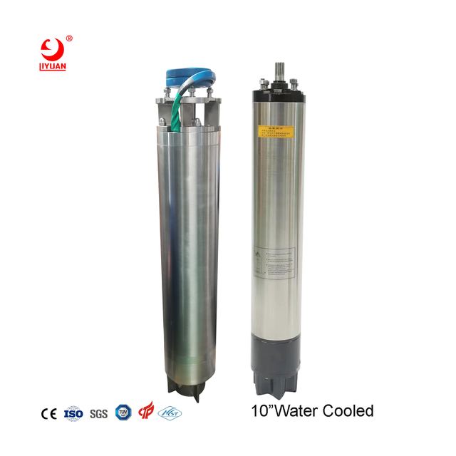 10 inch Submersible Motor