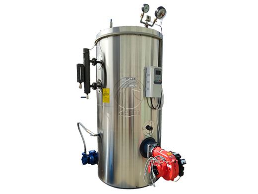 LSS Steam Boiler