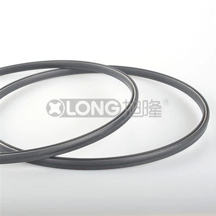 Spring Energized Seal